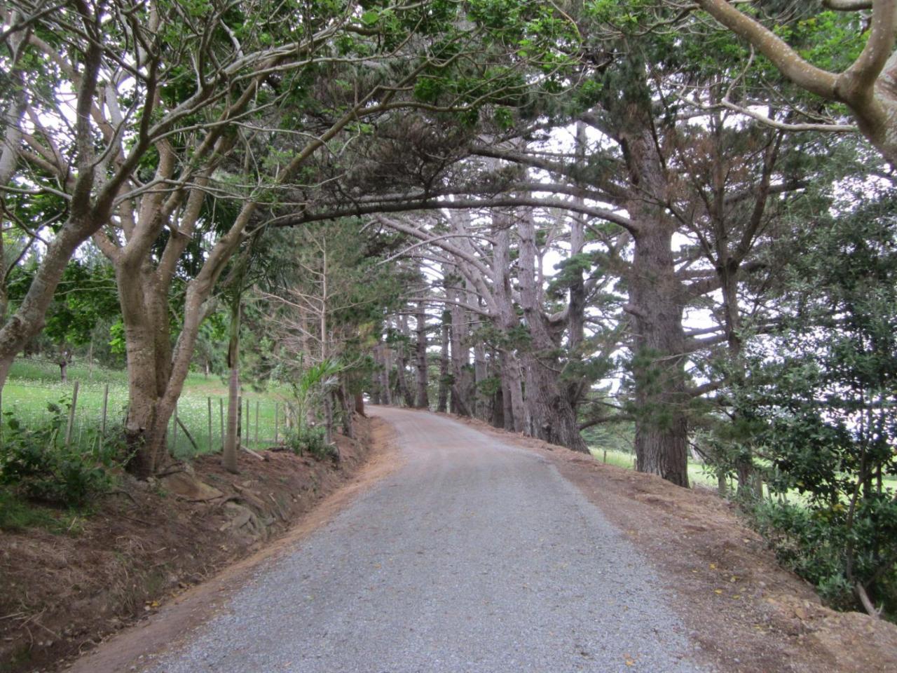 Koati Views Hotel Lake Ohia Exterior photo